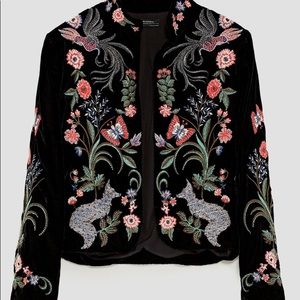 Zara Embroidered Blazer in Velour-Velvet Type